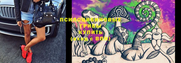 мет Новодвинск