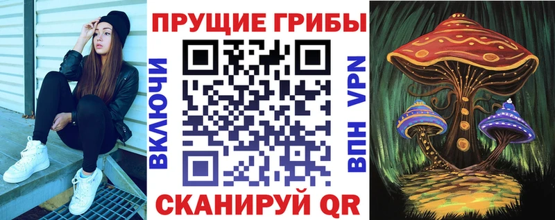 наркошоп  Алатырь  Галлюциногенные грибы MAGIC MUSHROOMS 