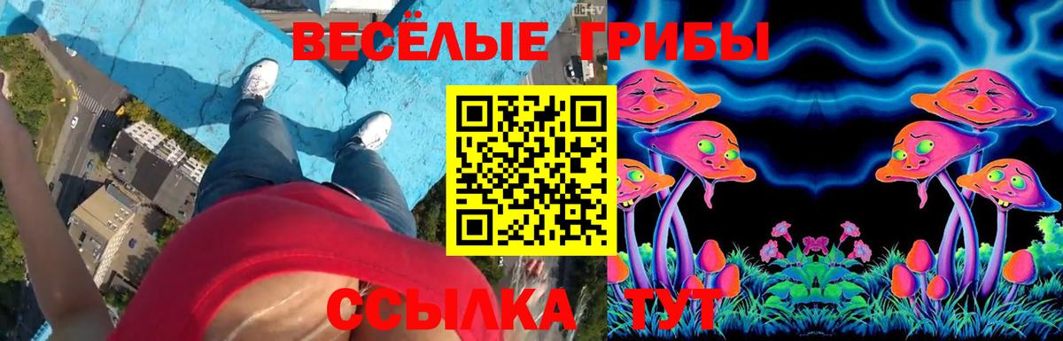 продажа наркотиков  Галлюциногенные грибы прущие грибы  Алатырь  Вход с VPN  Галлюциногенные грибы MAGIC MUSHROOMS 