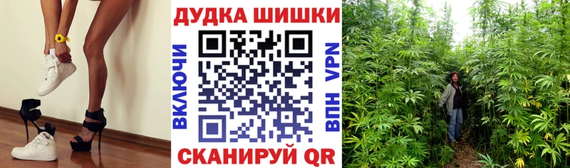 Канабис Ganja  Алатырь 